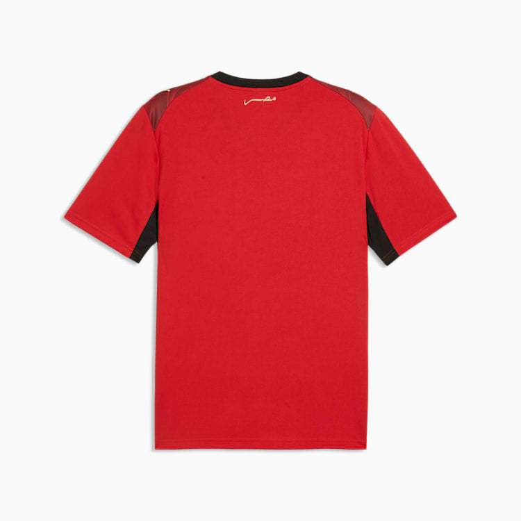 Maillot domicile Égypte 2026