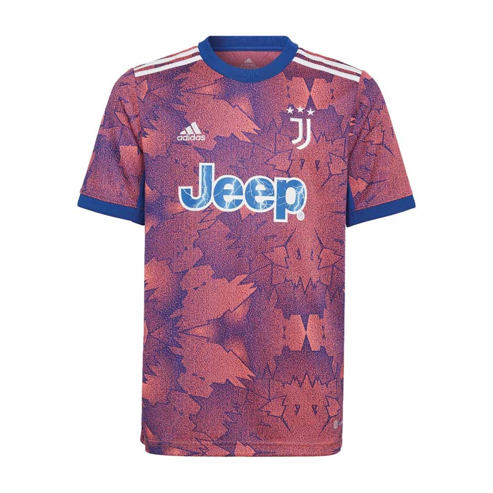 2022-2023 Juventus Third Shirt (Kids)_0