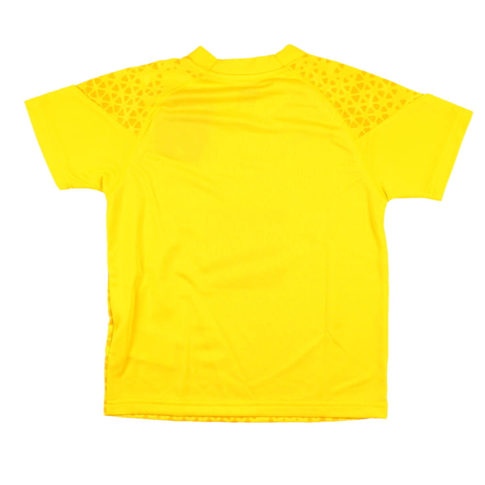 2023-2024 Borussia Dortmund Training Jersey (Yellow) - Kids_1