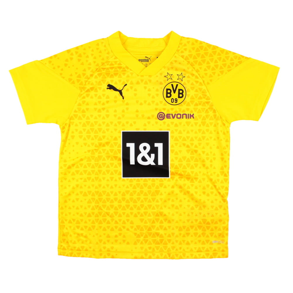 2023-2024 Borussia Dortmund Training Jersey (Yellow) - Kids_0