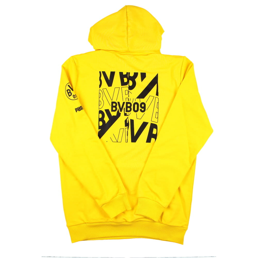 2023-2024 Borussia Dortmund FtblCore Graphic Hoody (Yellow)_1