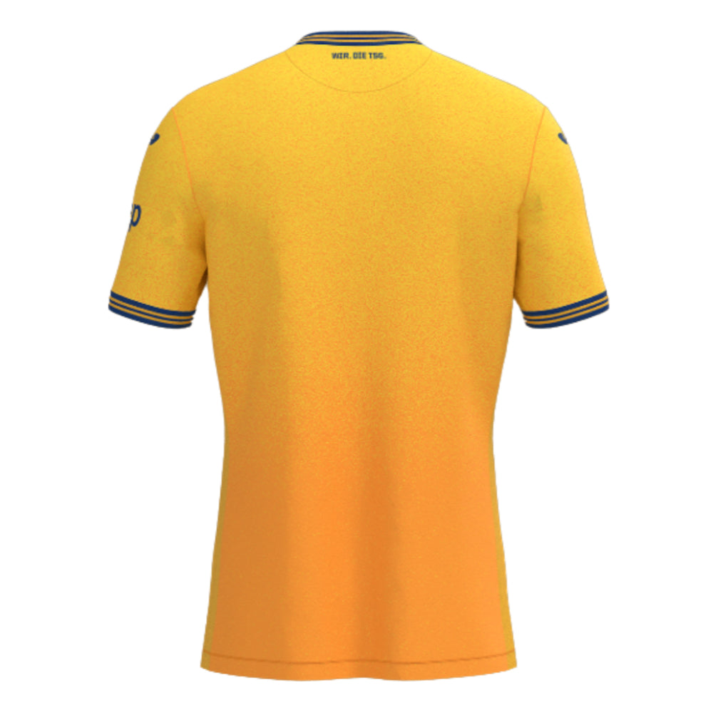 2023-2024 Hoffenheim Third Shirt_1