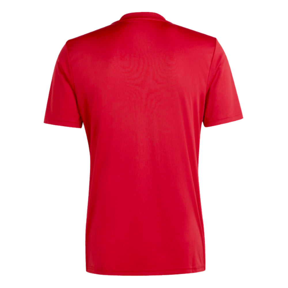 2023-2024 Roma Icon Pre-Match Shirt (Red)_1