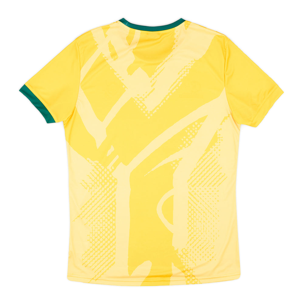 2024-2025 South Africa Home Shirt_1