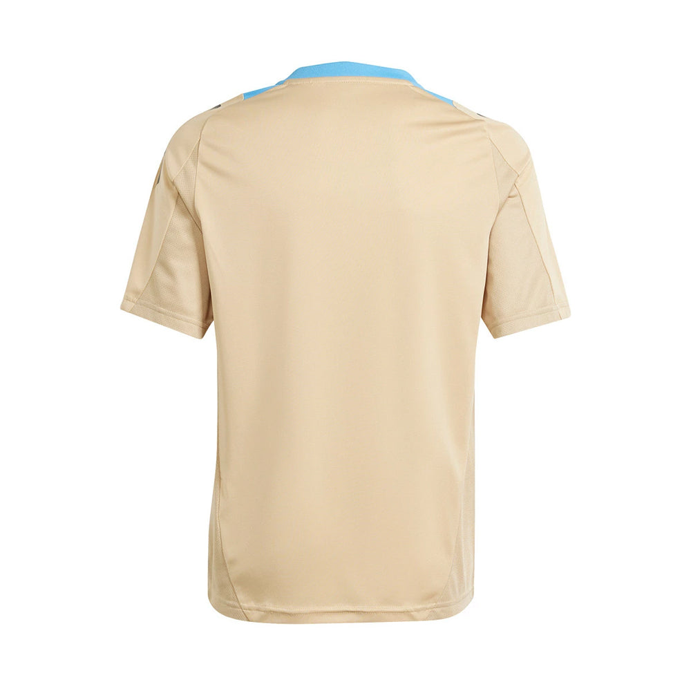 2024-2025 Argentina Training Jersey (Hazy Beige)_1