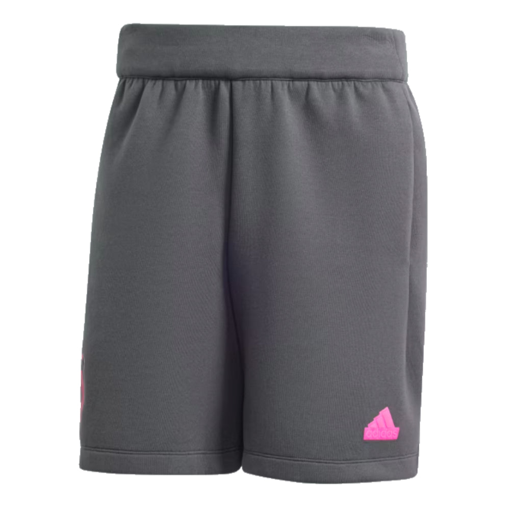 2024-2025 Germany Travel Shorts (Carbon)_0