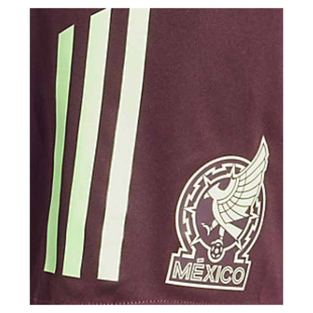 2024-2025 Mexico Training Shorts (Dark Burgundy)_1
