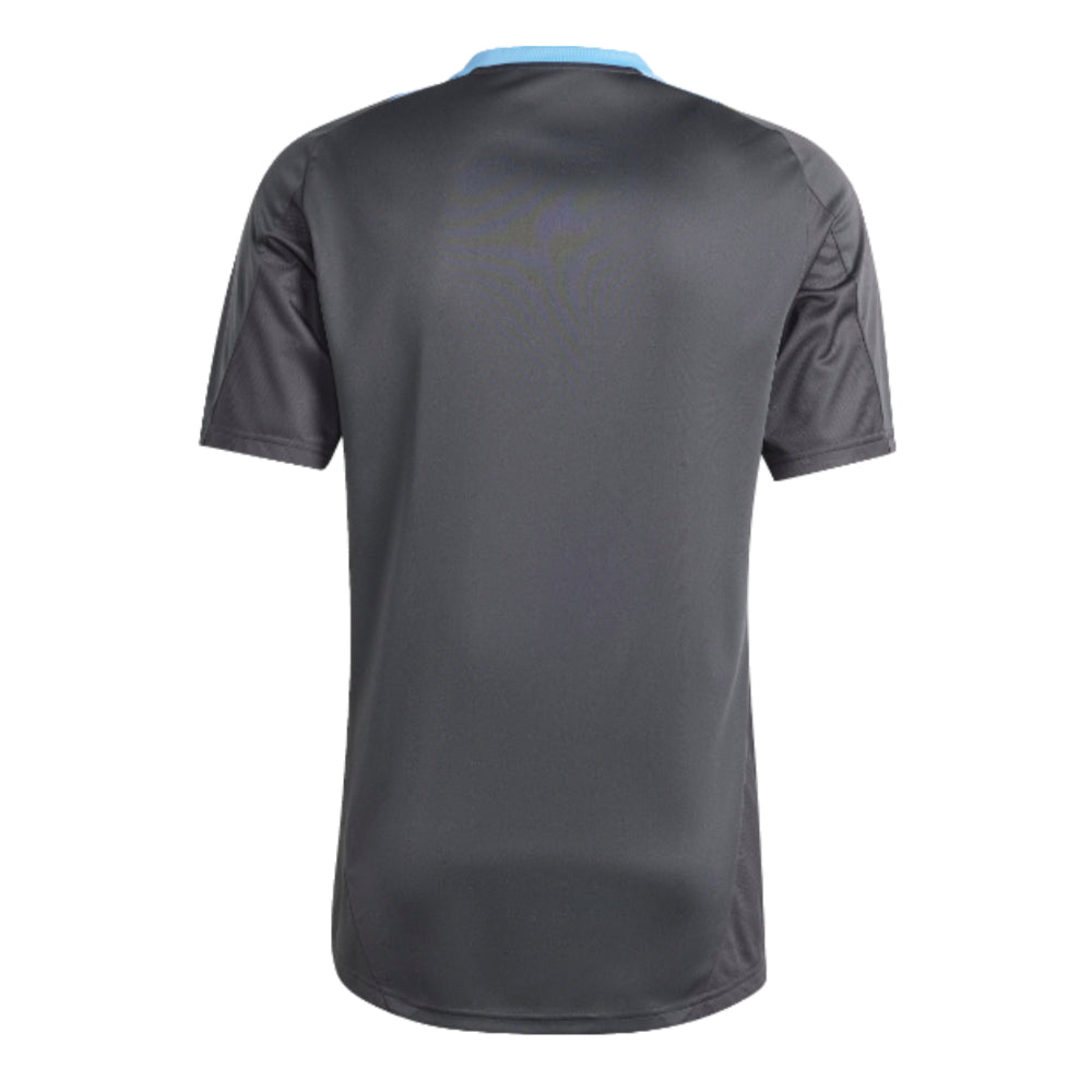 2024-2025 Argentina Training Jersey (Carbon)_1