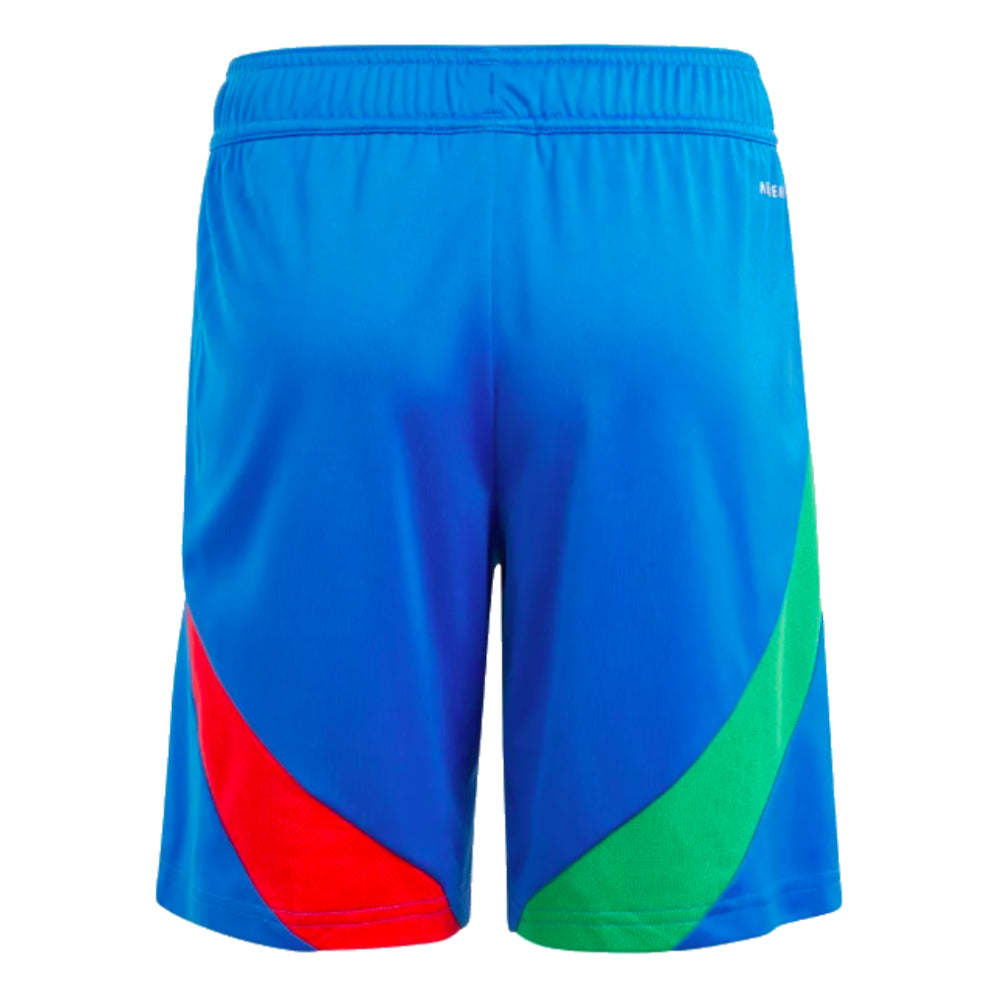 2024-2025 Italy Authentic Away Shorts (Blue)_1