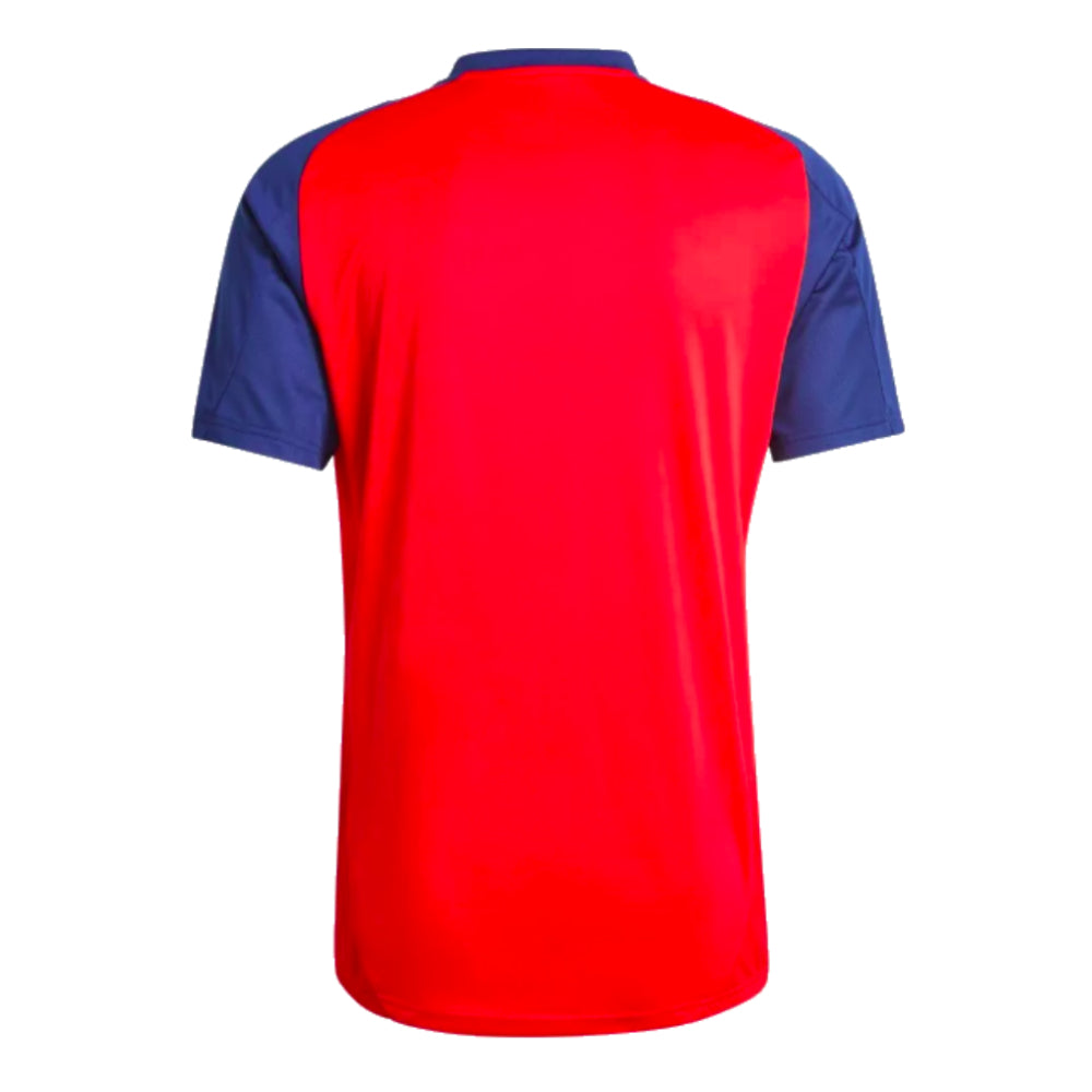 2024-2025 Spain Training Jersey (Red)_1