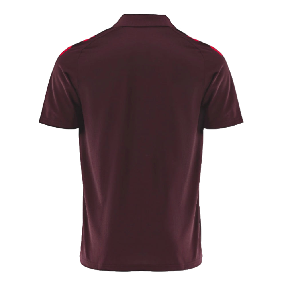 2024-2025 Bayern Munich Polo Shirt (Shadow Maroon)_1