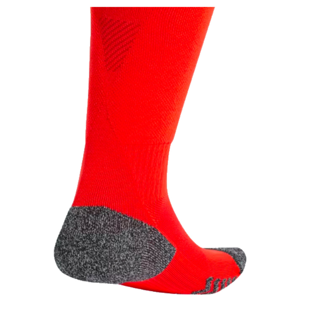 2024-2025 Bayern Munich Home Socks (Red)_1