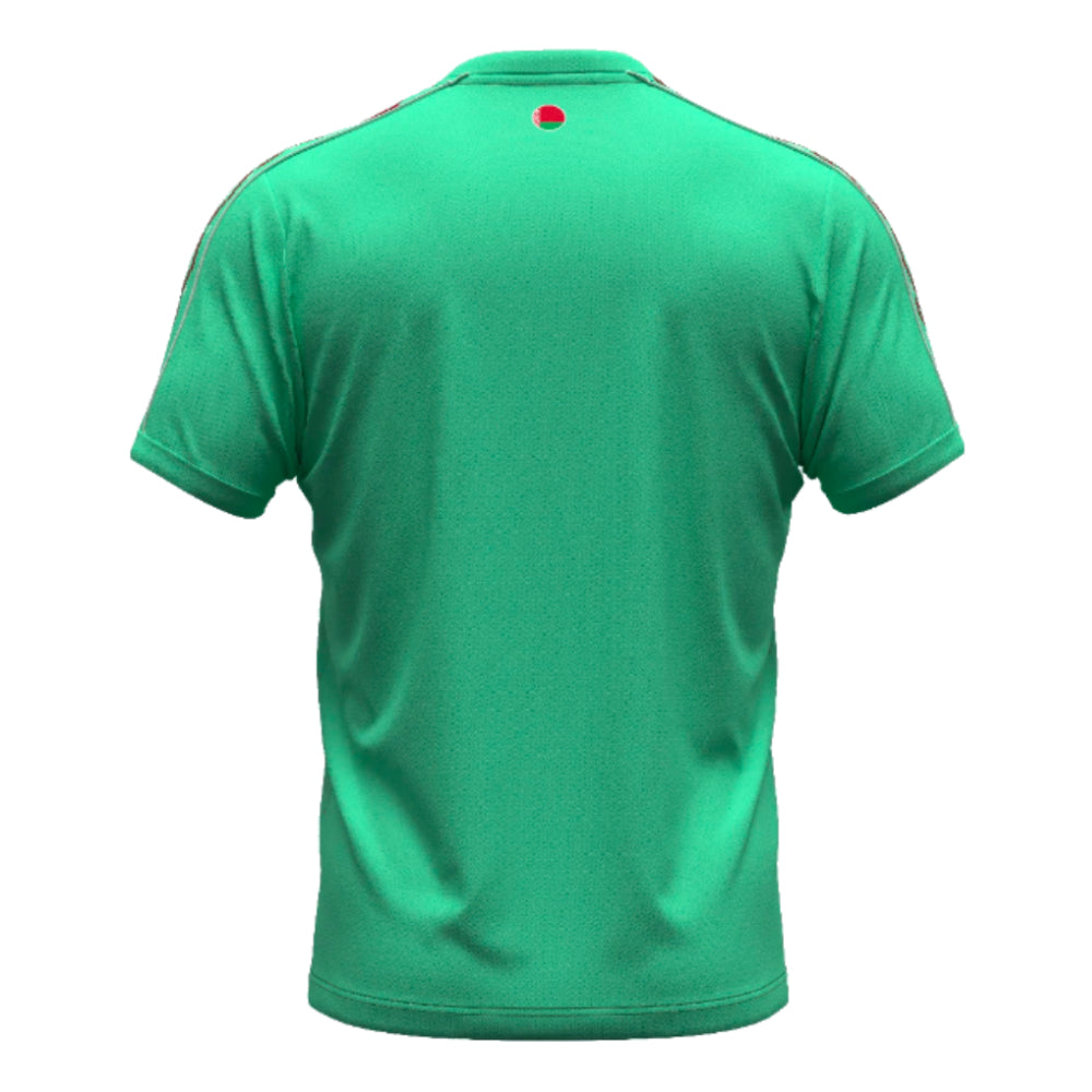 2024-2025 Belarus Away Shirt_1