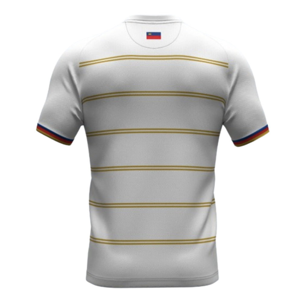2024-2025 Liechtenstein Third Shirt_1