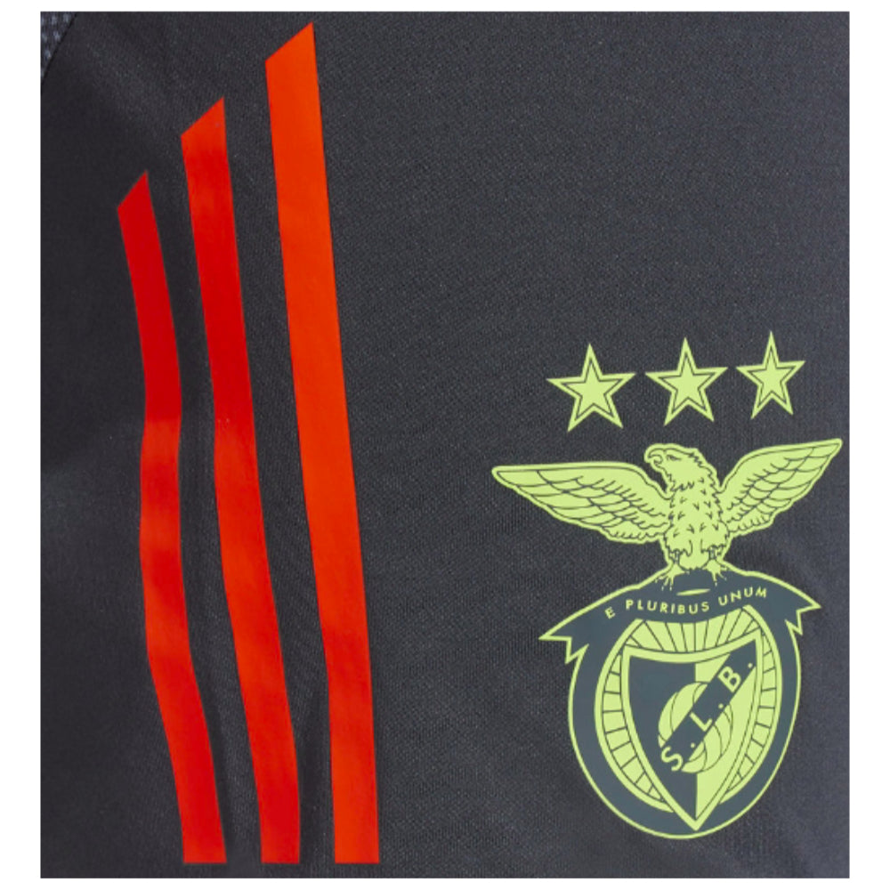 2024-2025 Benfica Training Shorts (Night Grey)_1