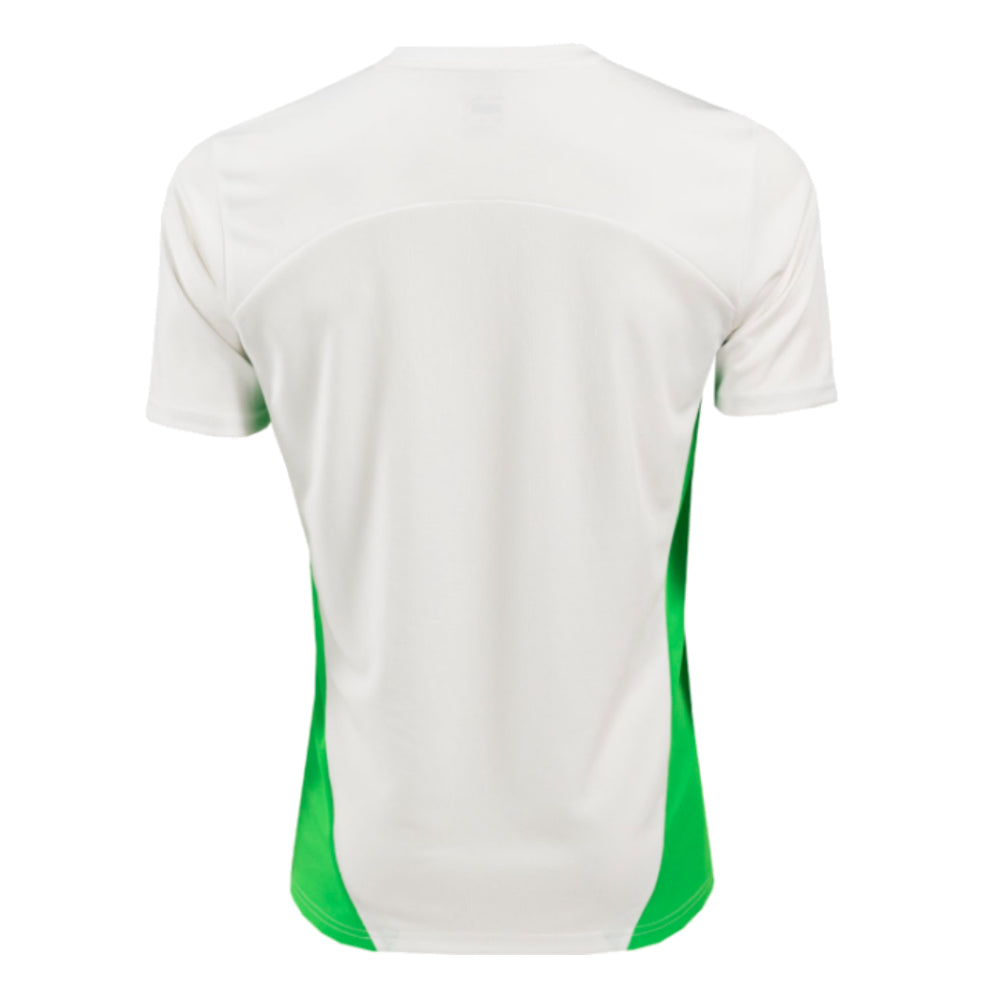 2024-2025 PSV Eindhoven Training Shirt (White)_2