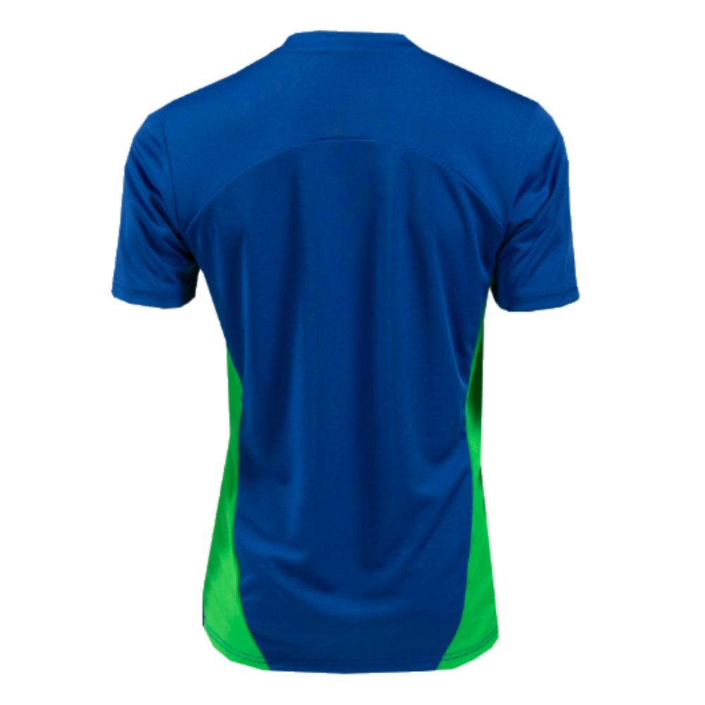 2024-2025 PSV Eindhoven Training Shirt (Cobalt)_2