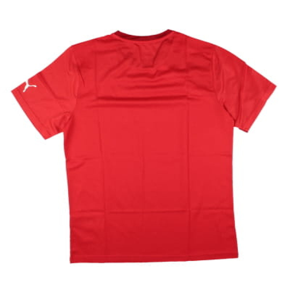 Puma Training Tee (Red)_1