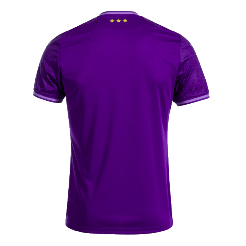 2024-2025 Anderlecht Home Shirt_2