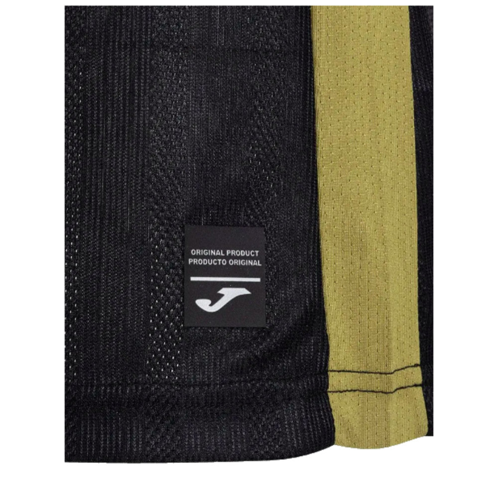 2024-2025 Hellas Verona Third Shirt_1