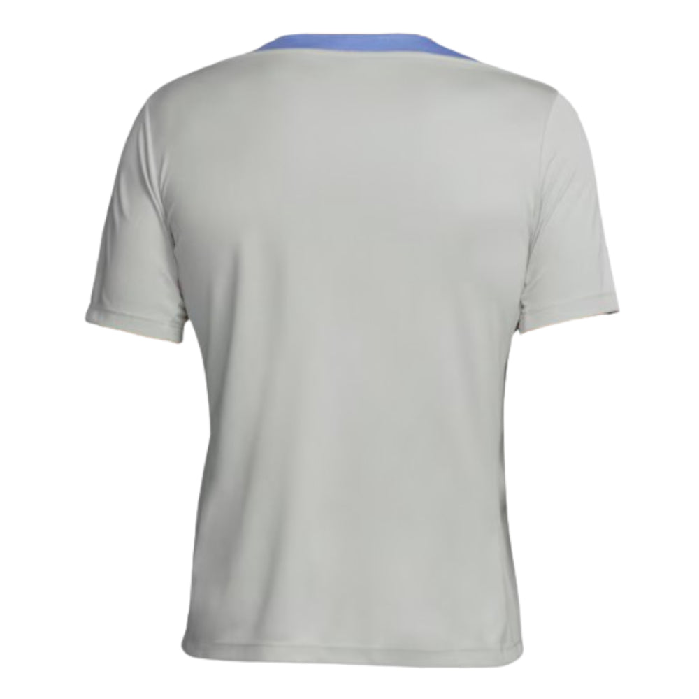2024-2025 Tottenham Strike Training Jersey (Grey)_1