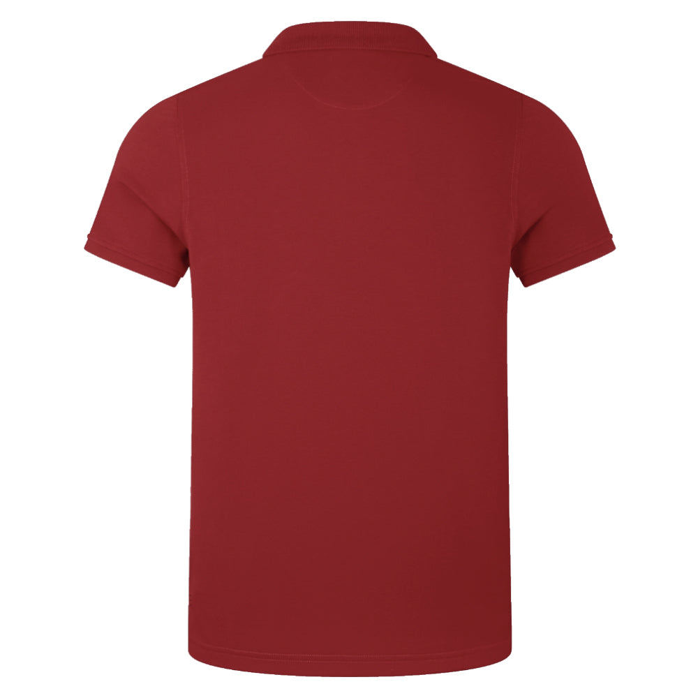 2024-2025 British & Irish Lions Pique Polo Shirt (Red)_1