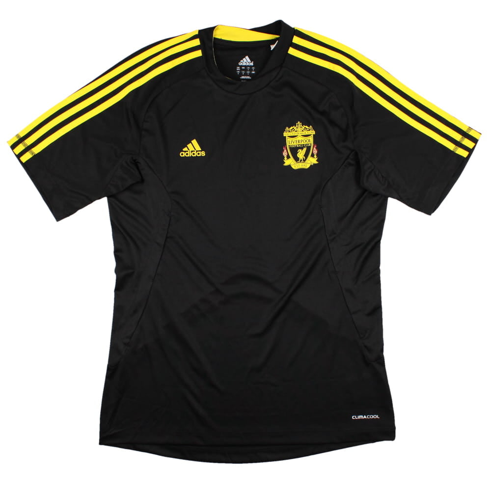 Liverpool 2010-11 Adidas Training Shirt (M) (Mint)_0