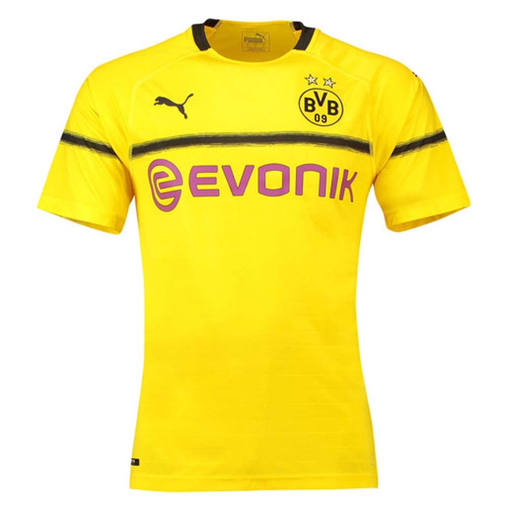 Borussia Dortmund 2018-19 European/Cup Home Shirt (L) (Very Good)_0