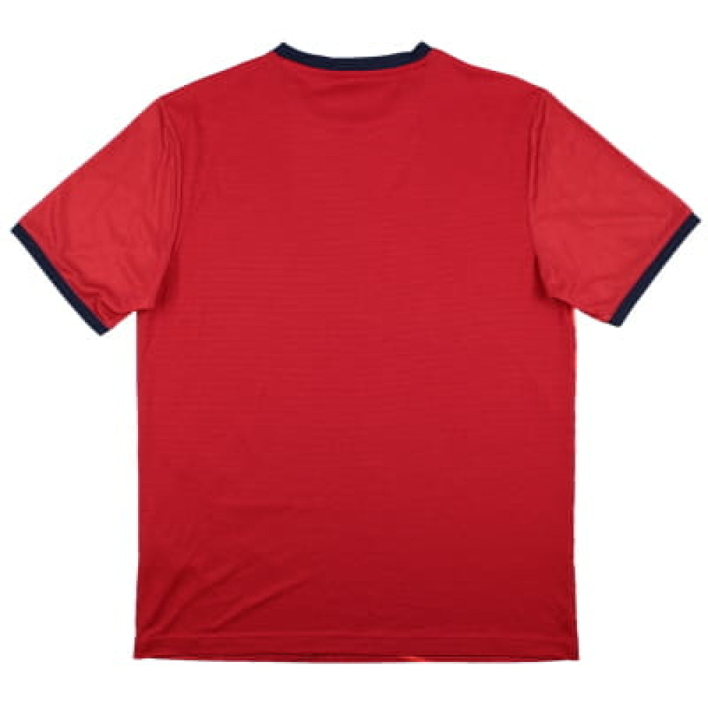 Lille 2016-17 New Balance Training Shirt (M) (Excellent)_1