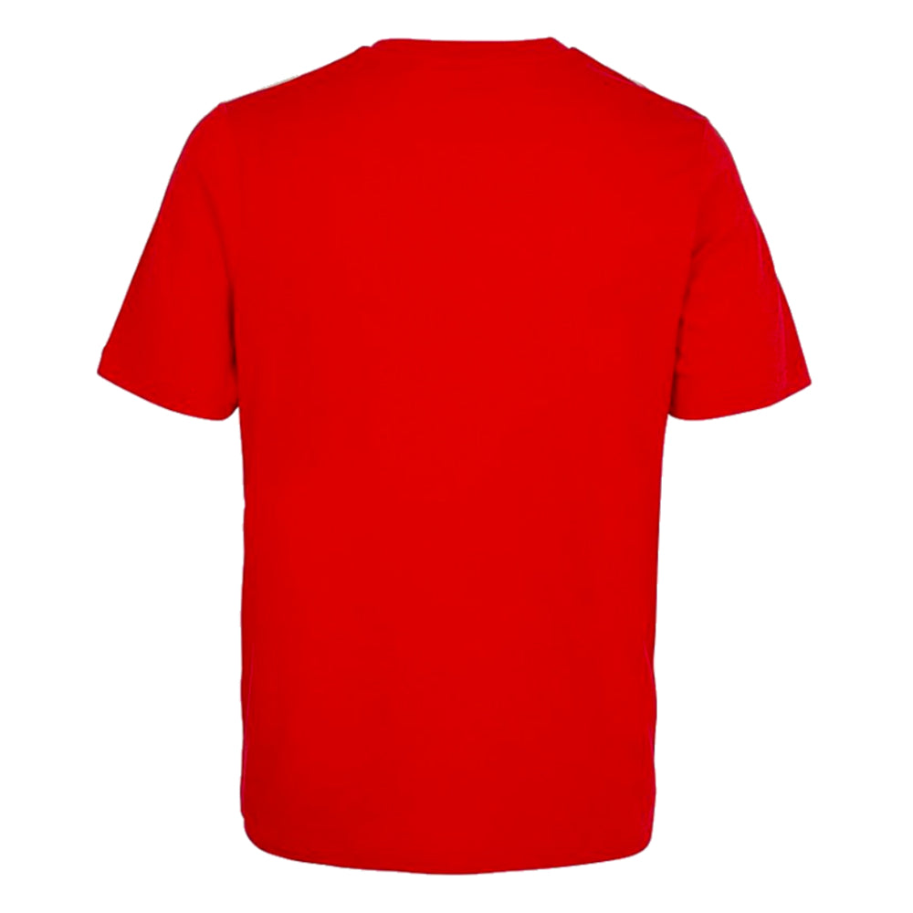 2023-2024 Arsenal DNA Tee (Red)_1