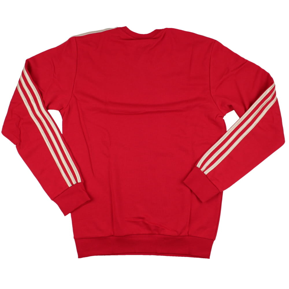 2023-2024 Arsenal DNA Sweat Top (Red)_1