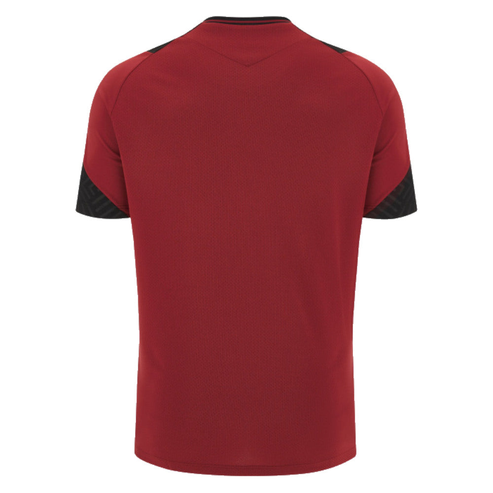 2023-2024 Wales Rugby Training Gym T-Shirt (Red)_1