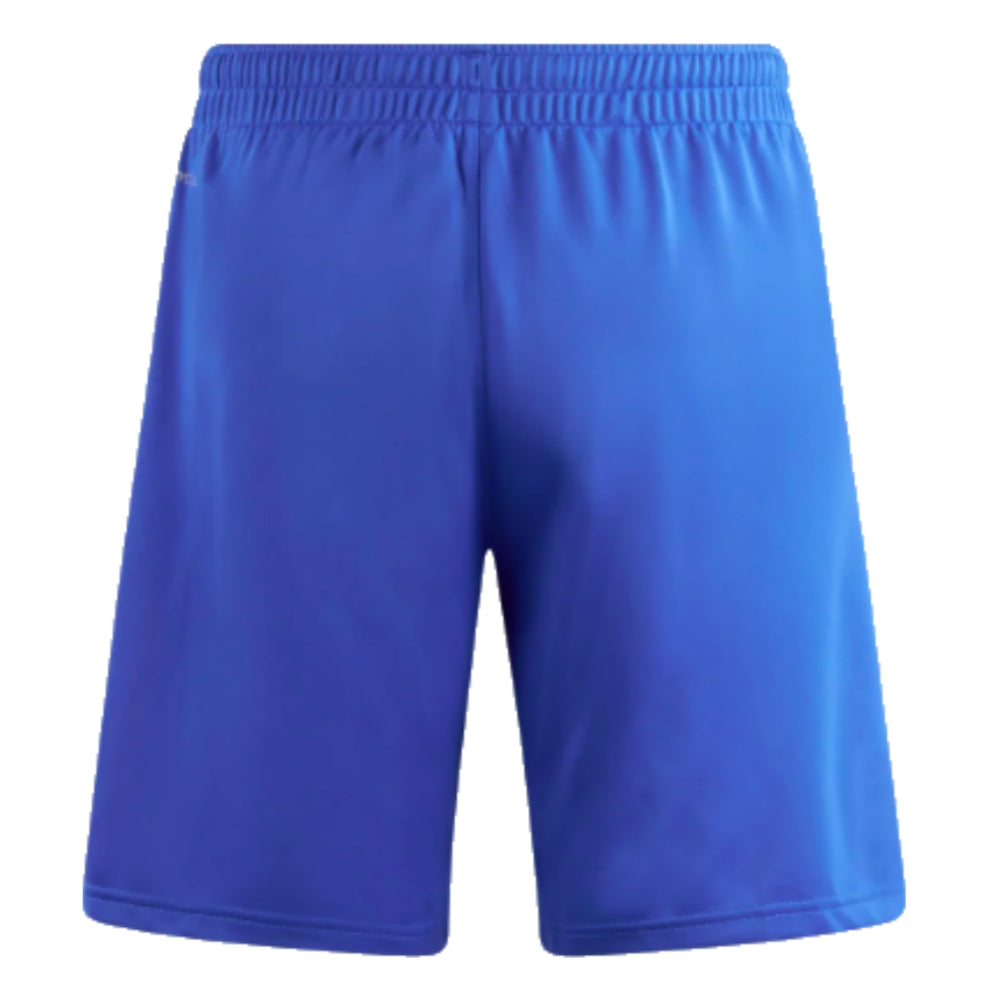 2023-2024 AC Milan Training Shorts (Royal Sapphire)_1