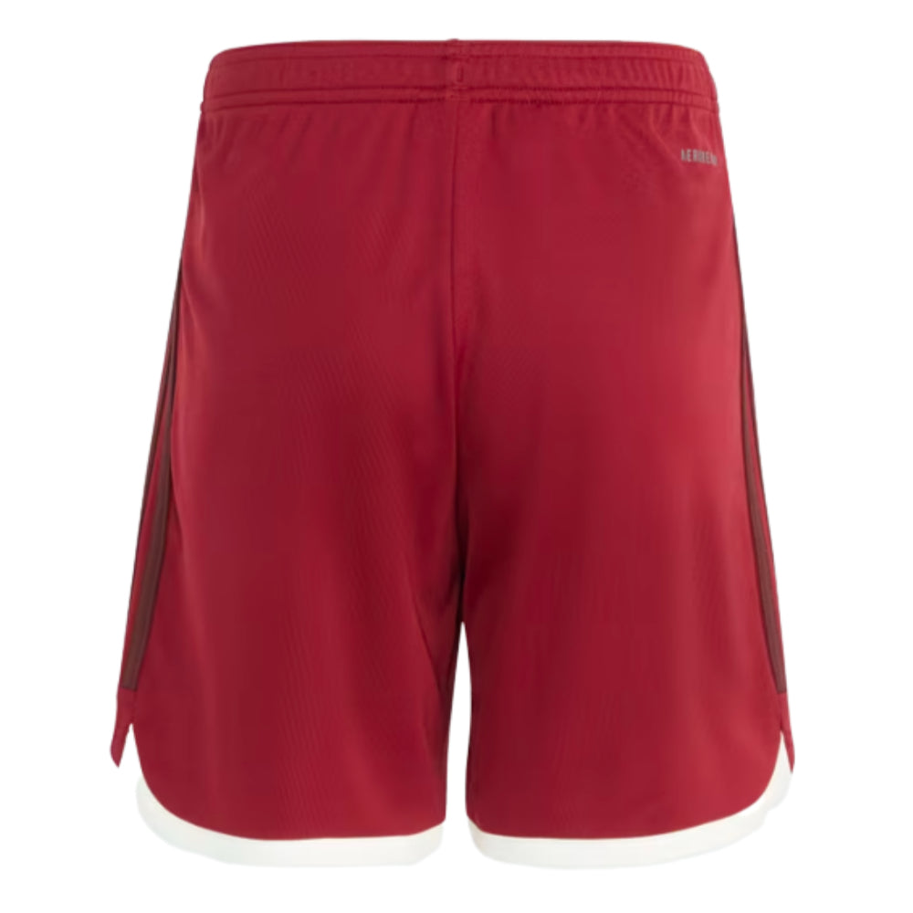 2023-2024 Bayern Munich Third Shorts (Red) - Kids_1