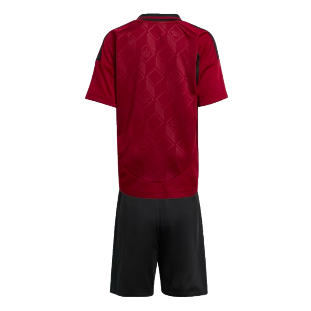 2024-2025 Belgium Home Mini Kit_1