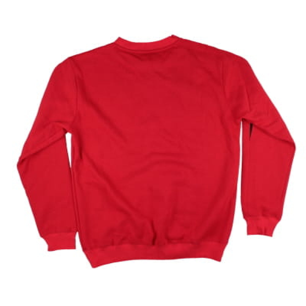 2015-2016 Airdrie Crew Neck Training Jumper (Red)_1