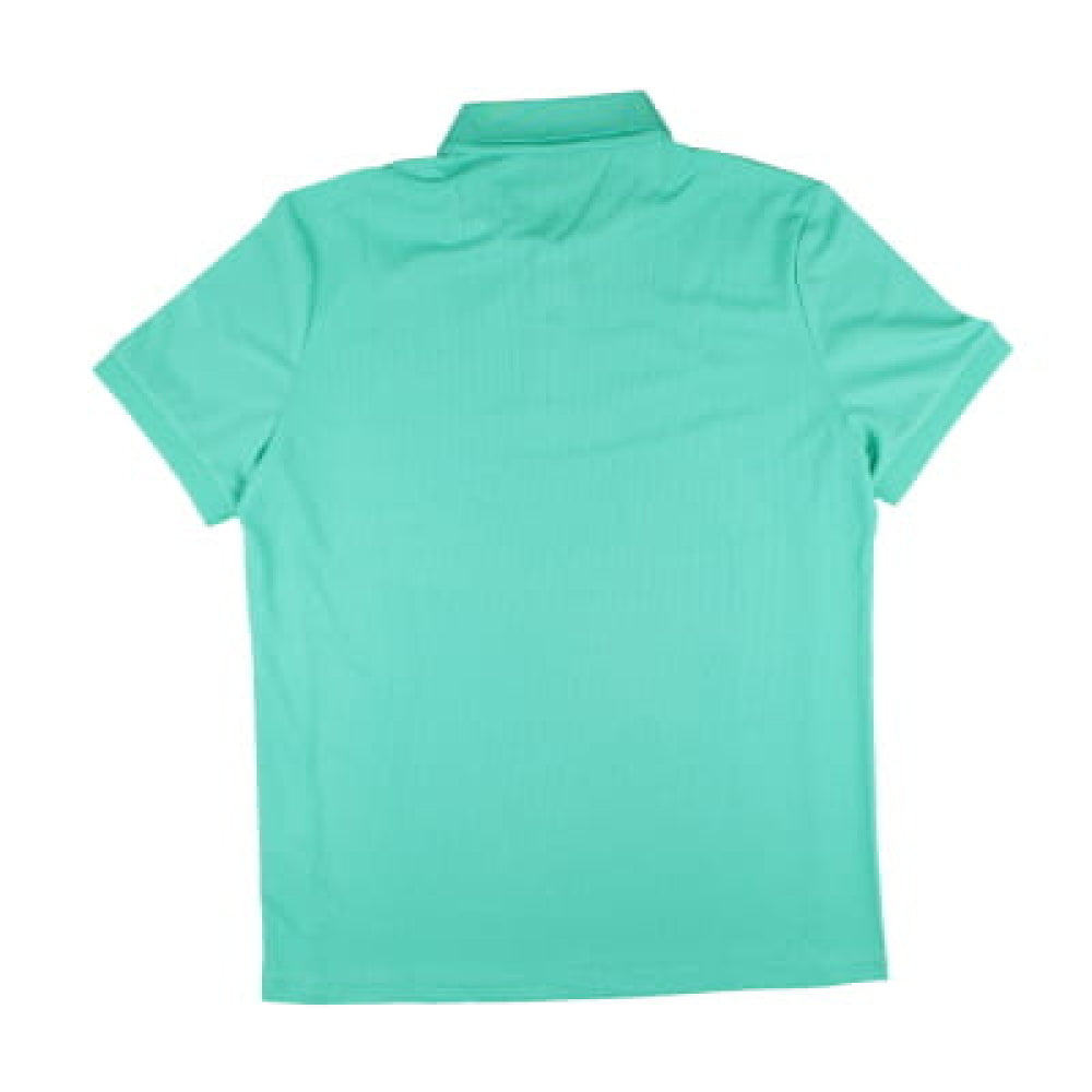 2024-2025 Ireland Cricket Player Travel Polo Shirt (Turquoise)_1