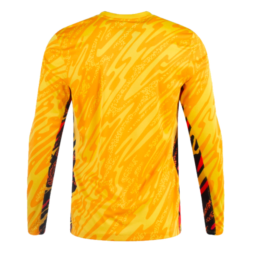 2024-2025 France Home LS Goalkeeper Shirt (Yellow)_1