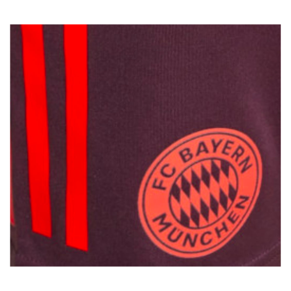 2024-2025 Bayern Munich Training Shorts (Shadow Maroon) - Kids_1