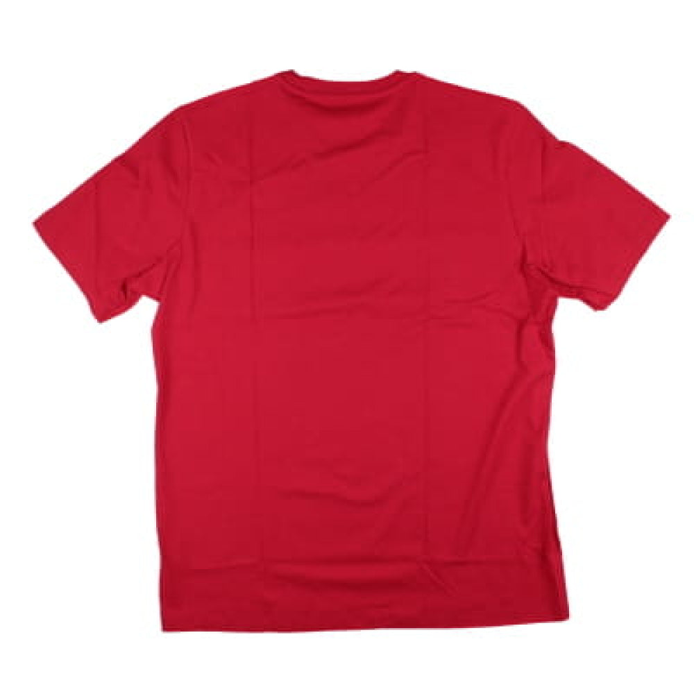 2024-2025 Man Utd DNA Graphic Tee (Red)_1