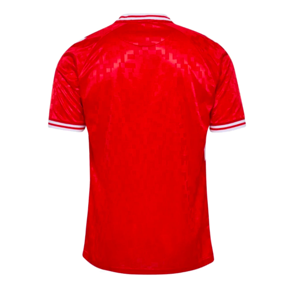 2024-2025 Denmark Home Shirt_1