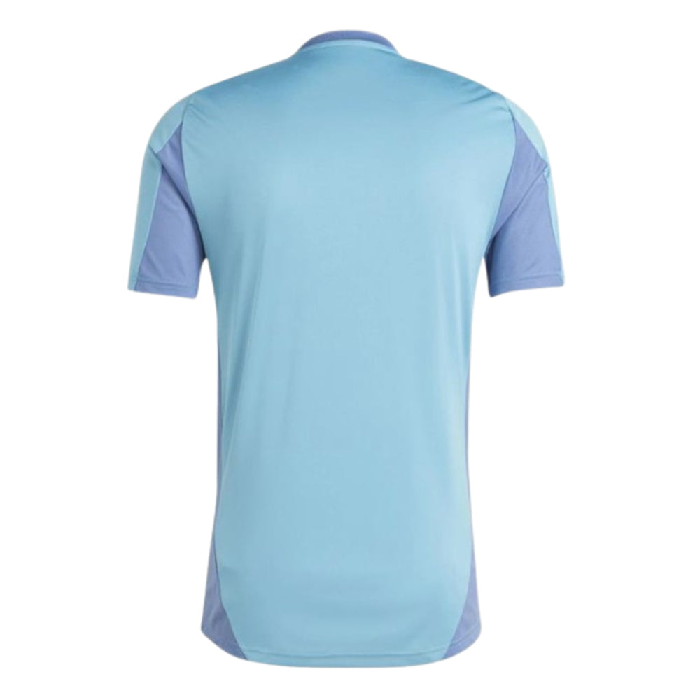 2024-2025 Ajax Training Jersey (Tactile Steel)_1