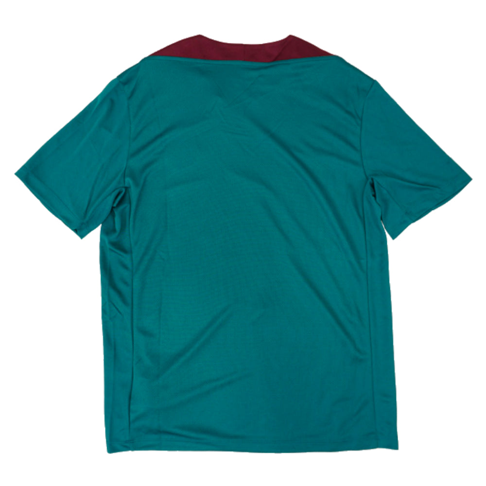 2024-2025 PSG Strike Dri-Fit Training Shirt (Teal)_2