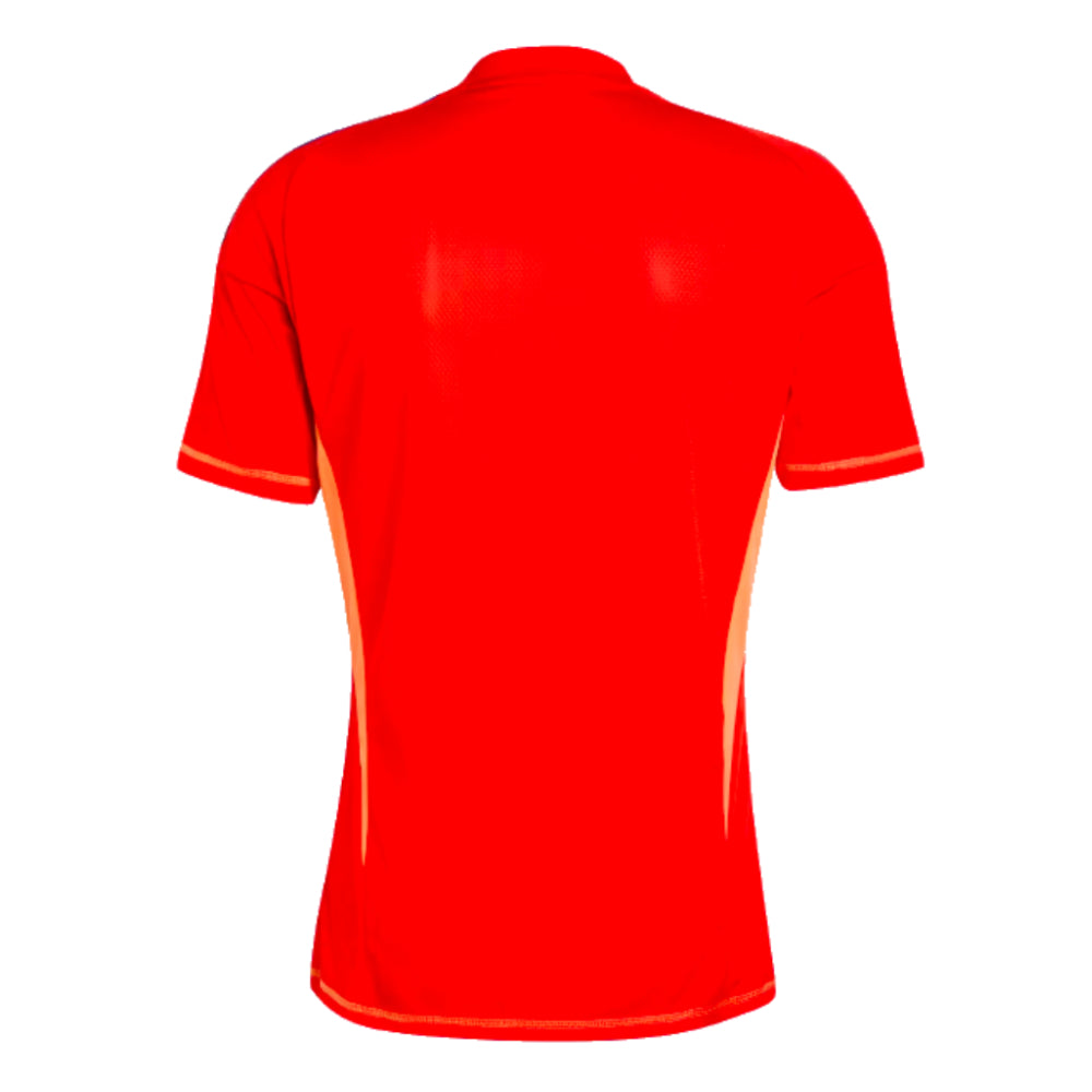 2024-2025 Juventus Home Goalkeeper Shirt (Red)_1