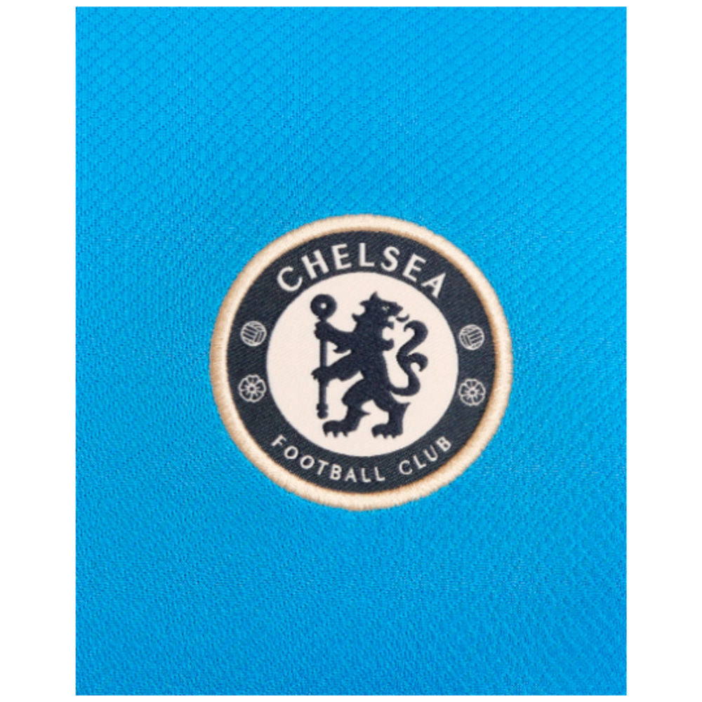 2024-2025 Chelsea Strike Dri-FIT Knit Shirt (Light Photo Blue)_2