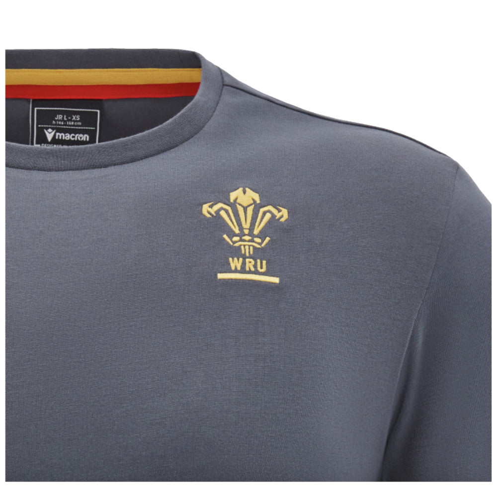 2024-2025 Wales Rugby Travel Cotton T-Shirt (Anthracite) - Kids_2