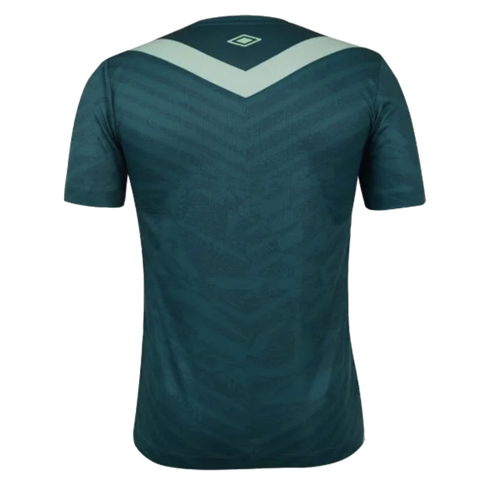 2024-2025 Chapecoense Third Shirt_1